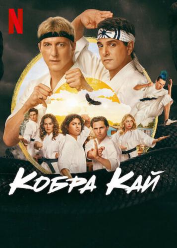   / Cobra Kai (2018)