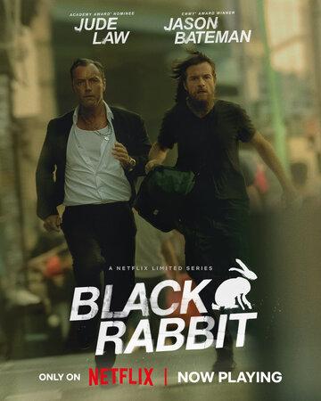 ׸  / Black Rabbit (2025)