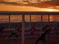 � ���� �����