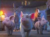 ������� ����